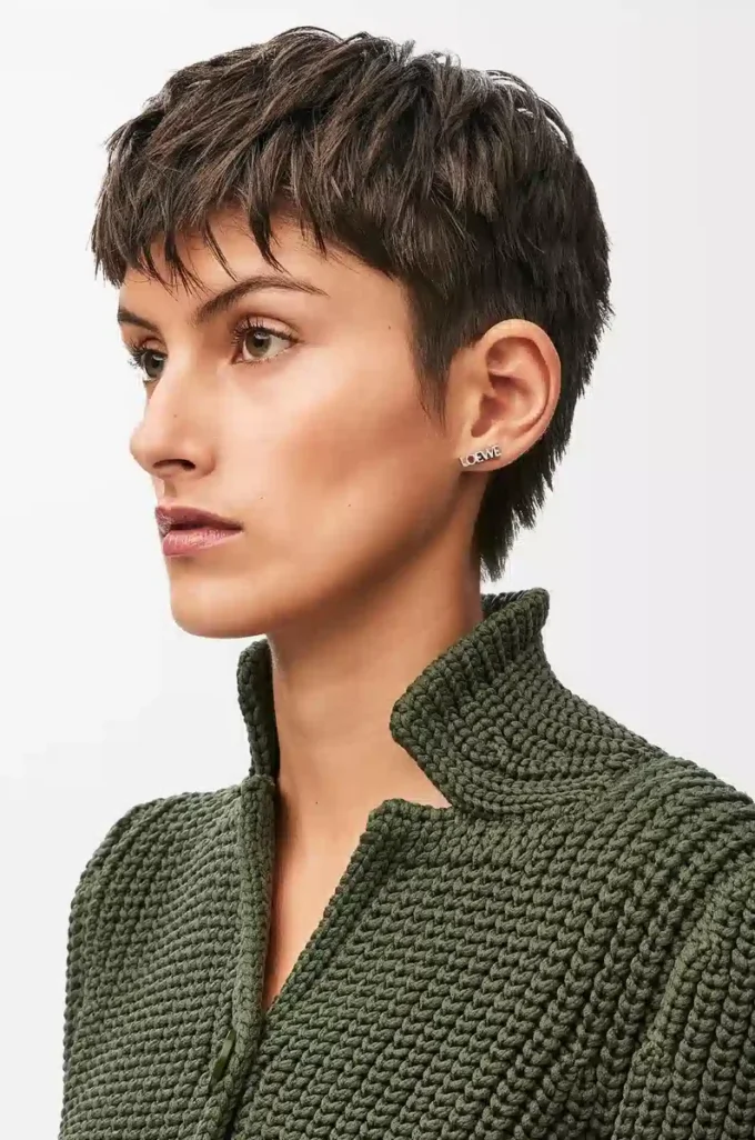 Boucle d&rsquo;oreille LOEWE Graphic en argent sterling Argent