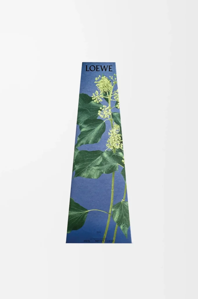 Bougeoir en cire Ivy Rose pâle Bougeoir en cire Ivy Rose pâle