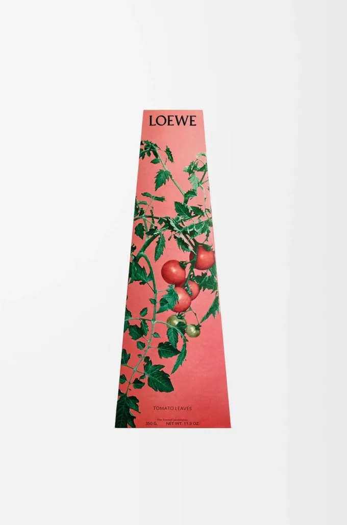 Bougeoir en cire Tomato Leaves Rouge