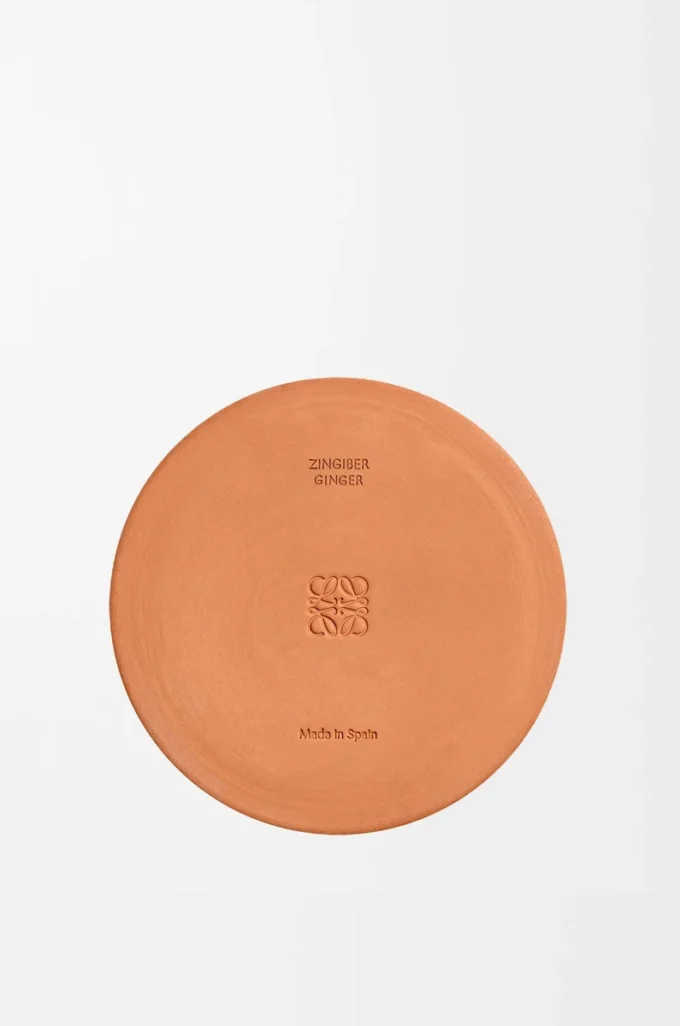 Bougie d&rsquo;extérieur au gingembre Orange