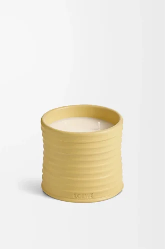 Bougie moyenne au chèvrefeuille Jaune