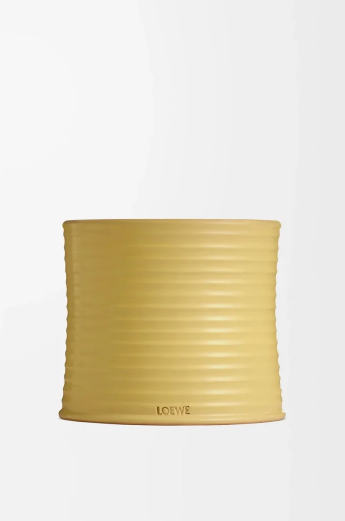 Bougie moyenne au chèvrefeuille Jaune