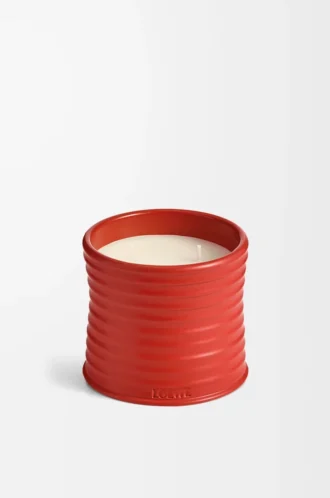 Bougie moyenne Feuilles de tomate Rouge