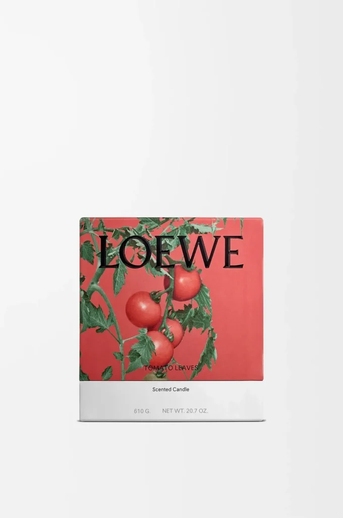 Bougie moyenne Feuilles de tomate Rouge