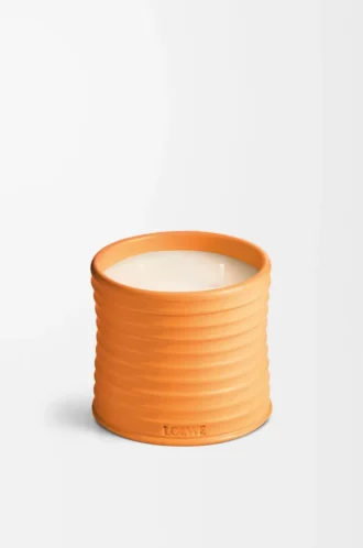 Bougie moyenne Fleur d&rsquo;oranger Mandarine vive