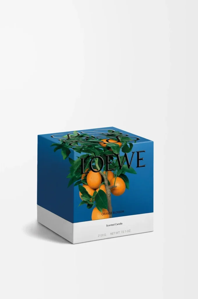 Bougie moyenne Fleur d’oranger Mandarine vive Bougie moyenne Fleur d’oranger Mandarine vive