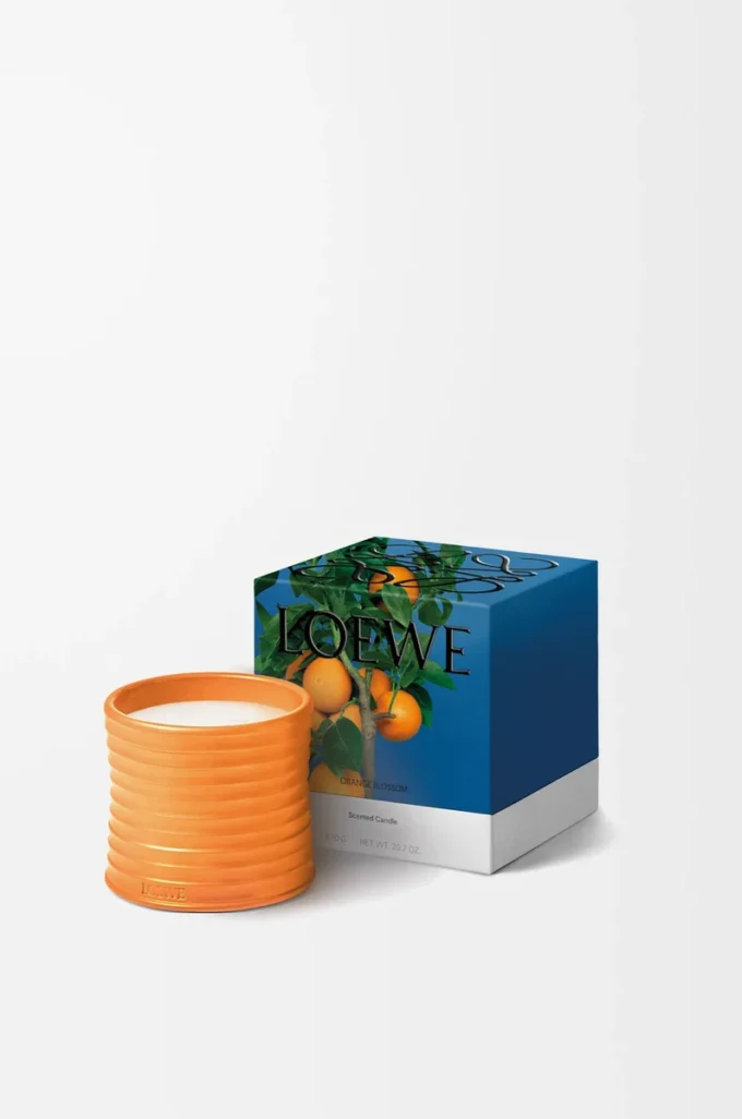Bougie moyenne Fleur d’oranger Mandarine vive Bougie moyenne Fleur d’oranger Mandarine vive
