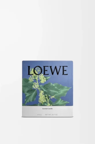 Bougie moyenne Ivy rose pâle