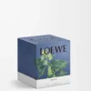 Bougie moyenne Ivy rose pâle