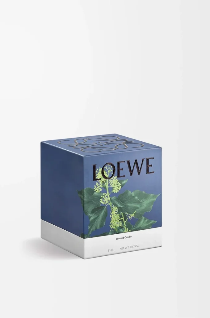 Bougie moyenne Ivy rose pâle