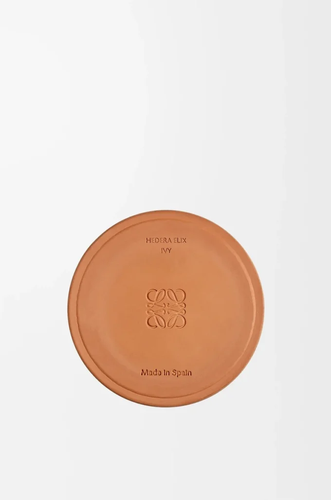 Bougie moyenne Ivy rose pâle
