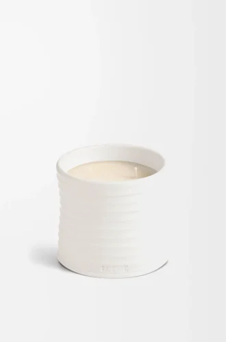 Bougie moyenne à l&rsquo;origan blanc