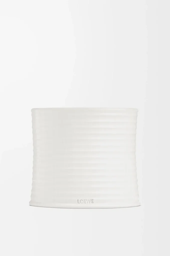 Bougie moyenne à l&rsquo;origan blanc