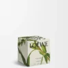 Bougie parfumée Midi Black Sesame Argent