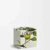 Bougie parfumée Midi Earl Grey Gold