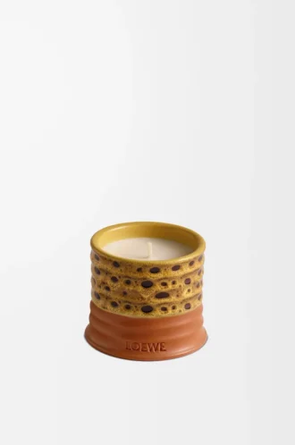 Bougie parfumée Mimosa Jaune/Beige