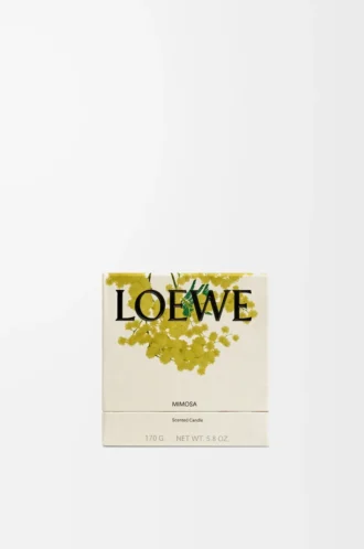 Bougie parfumée Mimosa Jaune/Beige