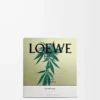 Bougie parfumée moyenne Scent of Marihuana Vert foncé Bougie parfumée moyenne Scent of Marihuana Vert foncé