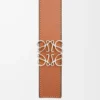 Ceinture réversible Anagram en cuir de veau lisse Black/Tan/Palladium