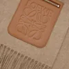 Écharpe en laine et cachemire Beige