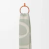 Écharpe en laine et cachemire beige clair/vert clair