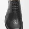 Derby brogue Campo en cuir de veau brossé Noir