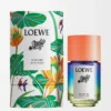 Eau de toilette Paula&rsquo;s Ibiza Eclectic 50 ml Incolore