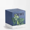 Grande bougie Ivy rose pâle