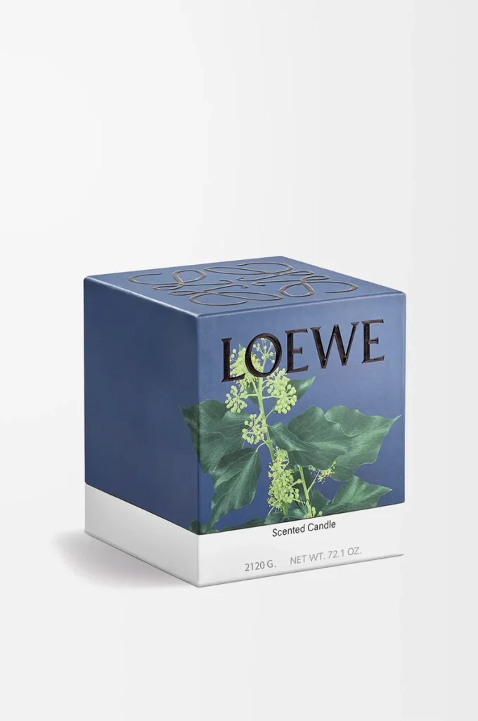 Grande bougie Ivy rose pâle
