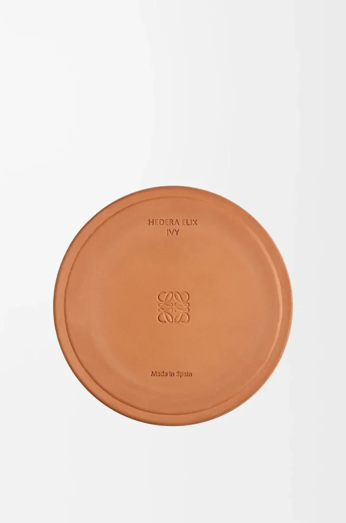 Grande bougie Ivy rose pâle
