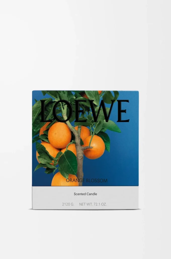 Grande bougie à la fleur d’oranger Mandarine vive Grande bougie à la fleur d’oranger Mandarine vive