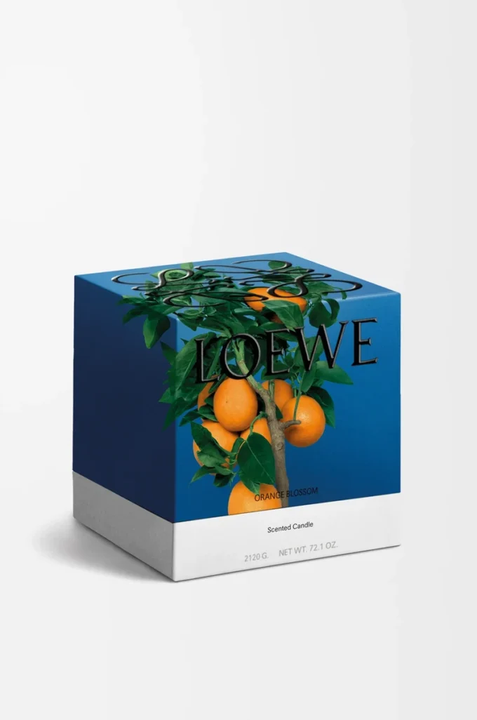 Grande bougie à la fleur d’oranger Mandarine vive Grande bougie à la fleur d’oranger Mandarine vive