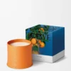 Grande bougie à la fleur d’oranger Mandarine vive Grande bougie à la fleur d’oranger Mandarine vive
