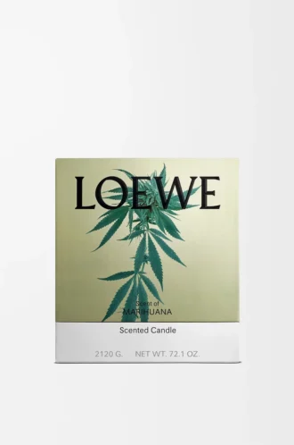 Grande bougie parfumée Scent of Marihuana Vert foncé