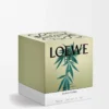 Grande bougie parfumée Scent of Marihuana Vert foncé