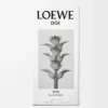 LOEWE 001 Man Eau de Toilette 50 ml Incolore