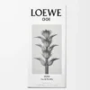 LOEWE 001 Man Eau de Toilette 50 ml Incolore