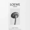 LOEWE Earth Eau de Parfum 50 ml Violet LOEWE Earth Eau de Parfum 50 ml Violet
