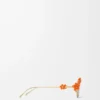 Lunettes de soleil Daisy Field Orange