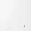 Lunettes de soleil Seashell Gold