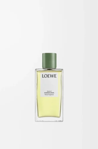 Parfum d&rsquo;ambiance à la marijuana Vert foncé
