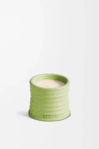 Petite bougie au concombre Vert clair