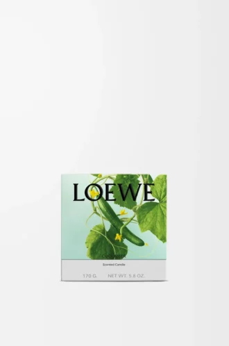 Petite bougie au concombre Vert clair