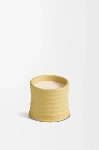 Petite bougie Caprifolium Jaune