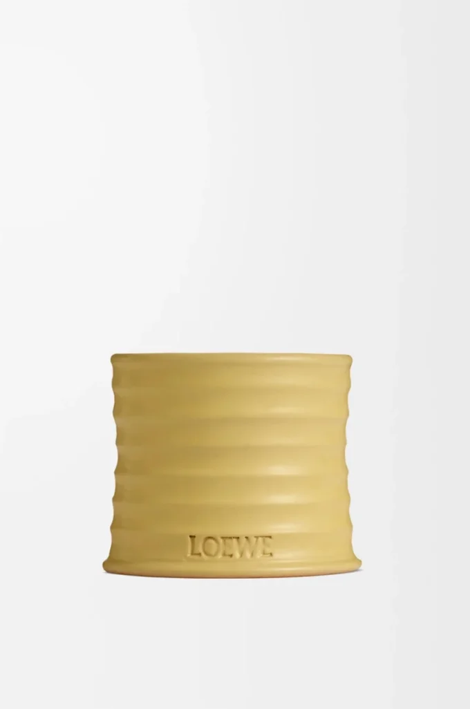 Petite bougie Caprifolium Jaune