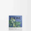 Petite bougie Ivy rose pâle
