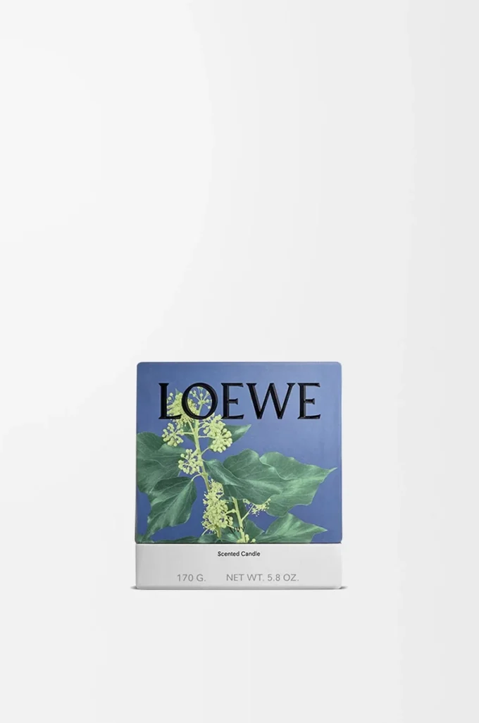 Petite bougie Ivy rose pâle