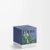 Petite bougie Ivy rose pâle