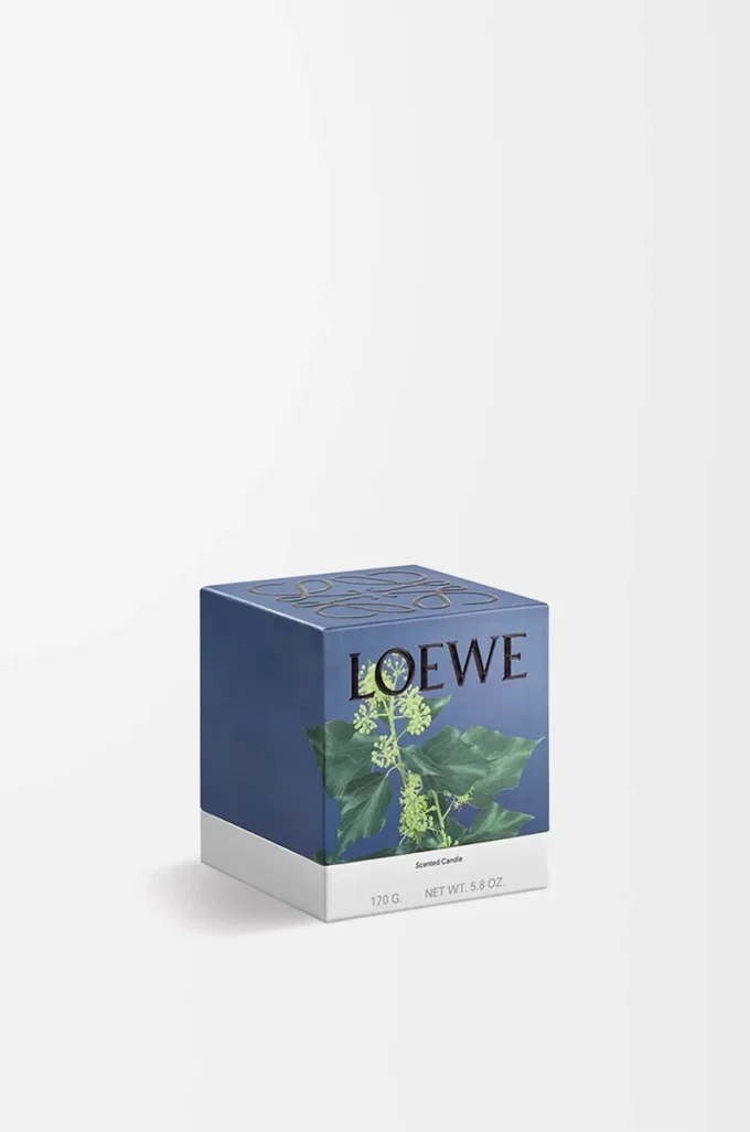 Petite bougie Ivy rose pâle