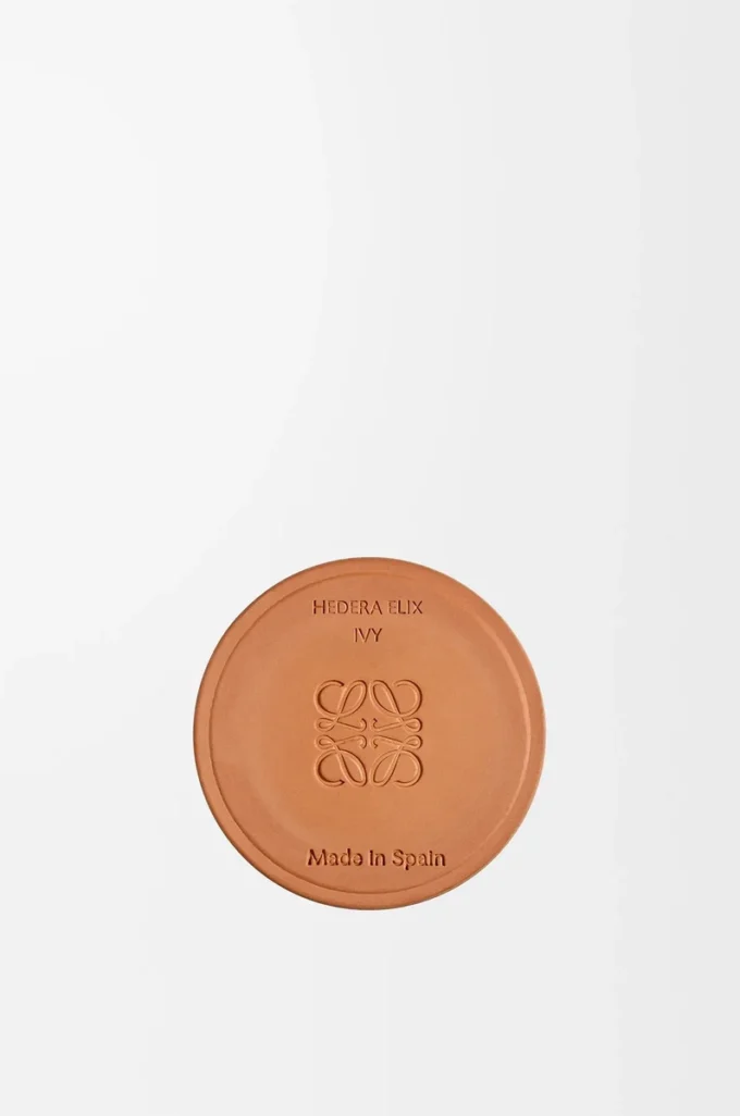 Petite bougie Ivy rose pâle